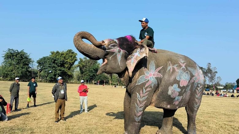 ४१ बर्षीय बिजुलीकलीले जितिन् हात्ती सुन्दरीको ताज